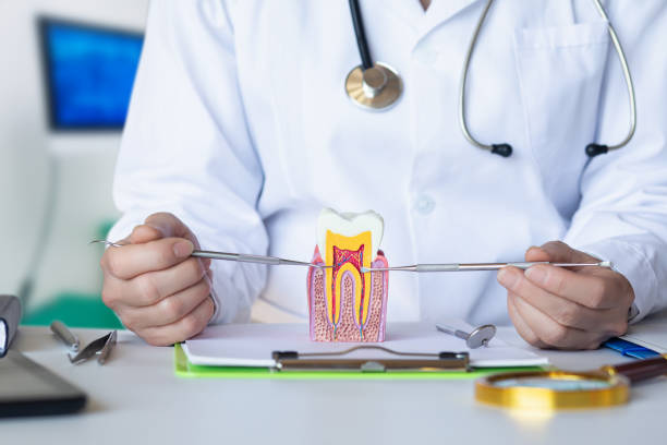 Best Weekend Emergency Dentist in Pontoon Beach, IL